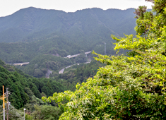 自然豊かな甲賀・土山の地から世界へ。