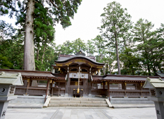 自然豊かな甲賀・土山の地から世界へ。