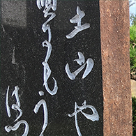 ニューリー・土山 フォトギャラリー