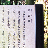 ニューリー・土山 フォトギャラリー