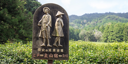 土山に根ざして。