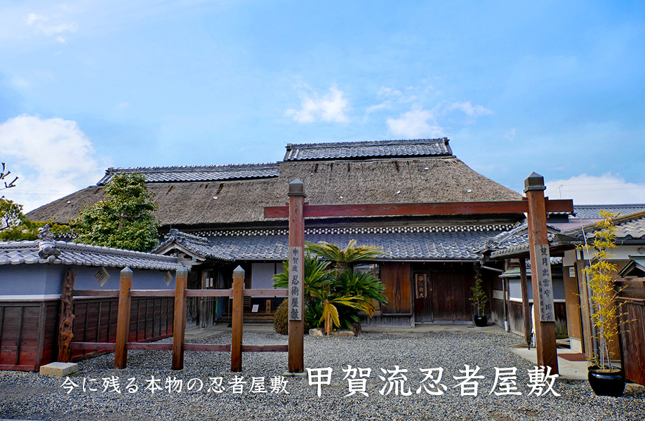 第1回 いてくれなくては困るもの